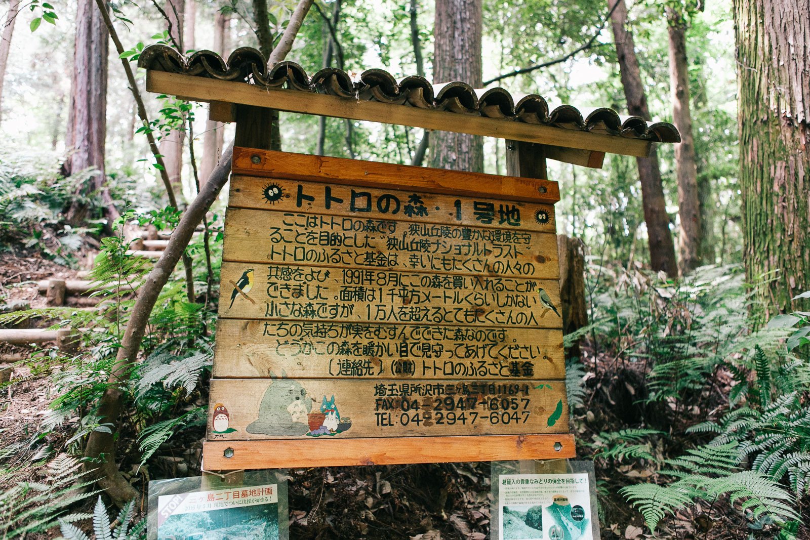 🌳 토토로의 숲 1호지 (토토로노모리 이치고우치) 이미지 8
